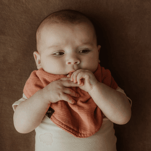 3-in-1 Bib Sienna